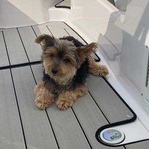 Meet your Posher, Aileen